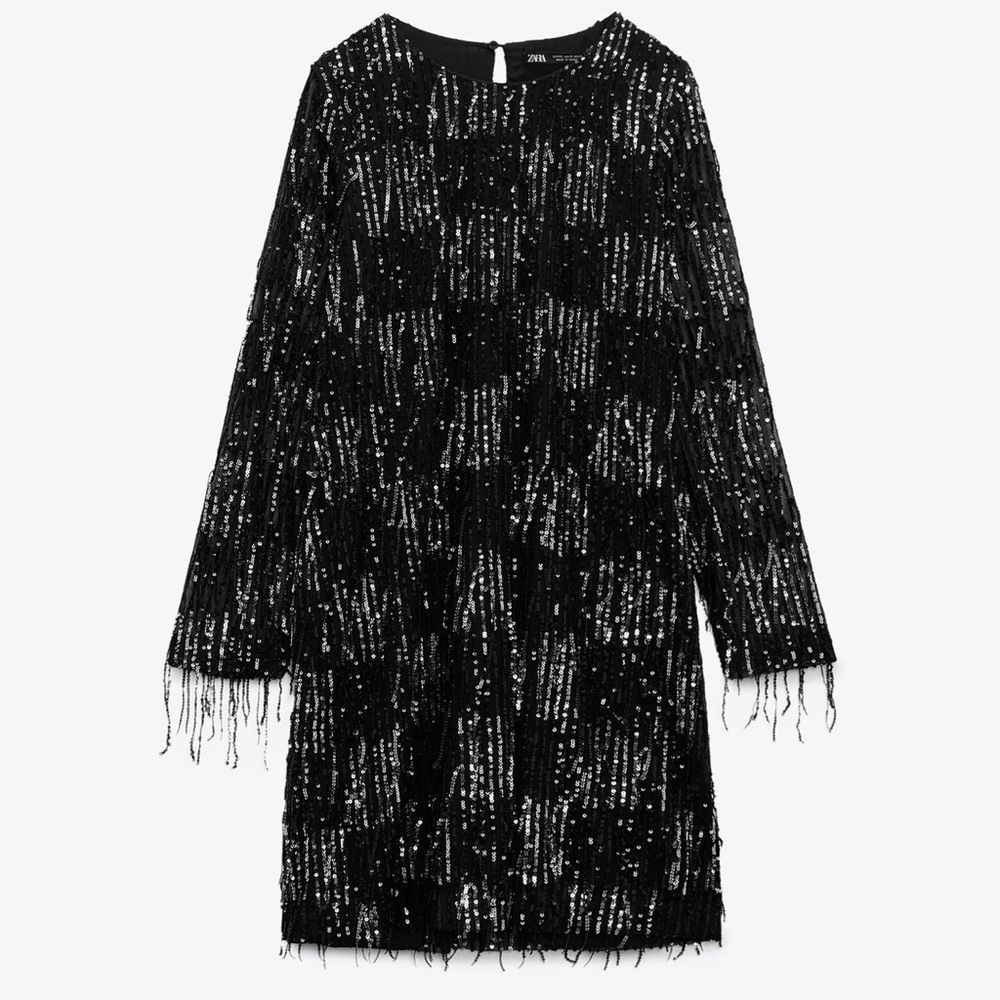 Zara Sequin Fringed Mini Dress